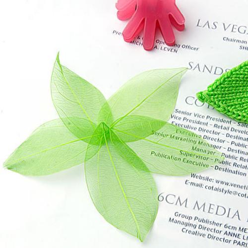Embellish Craft - Foglie di Catbrier Naturali Essiccate, Decorazioni