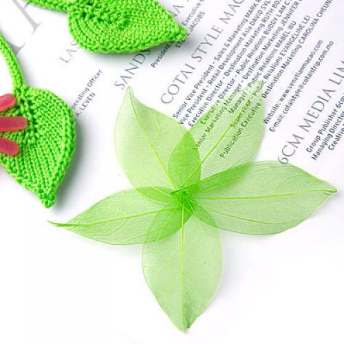 Foglie di Catbrier Naturali Es - Embellish Craft recensione e prezzo