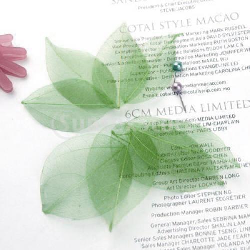 Foglie di Catbrier Naturali Es - Embellish Craft recensione e prezzo