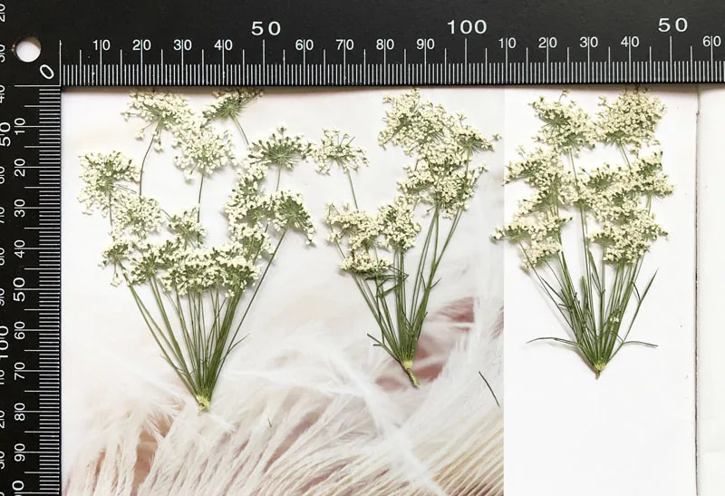 5-7 cm/12 pezzi, piccoli fiori - Craft Embellishment recensione e prezzo