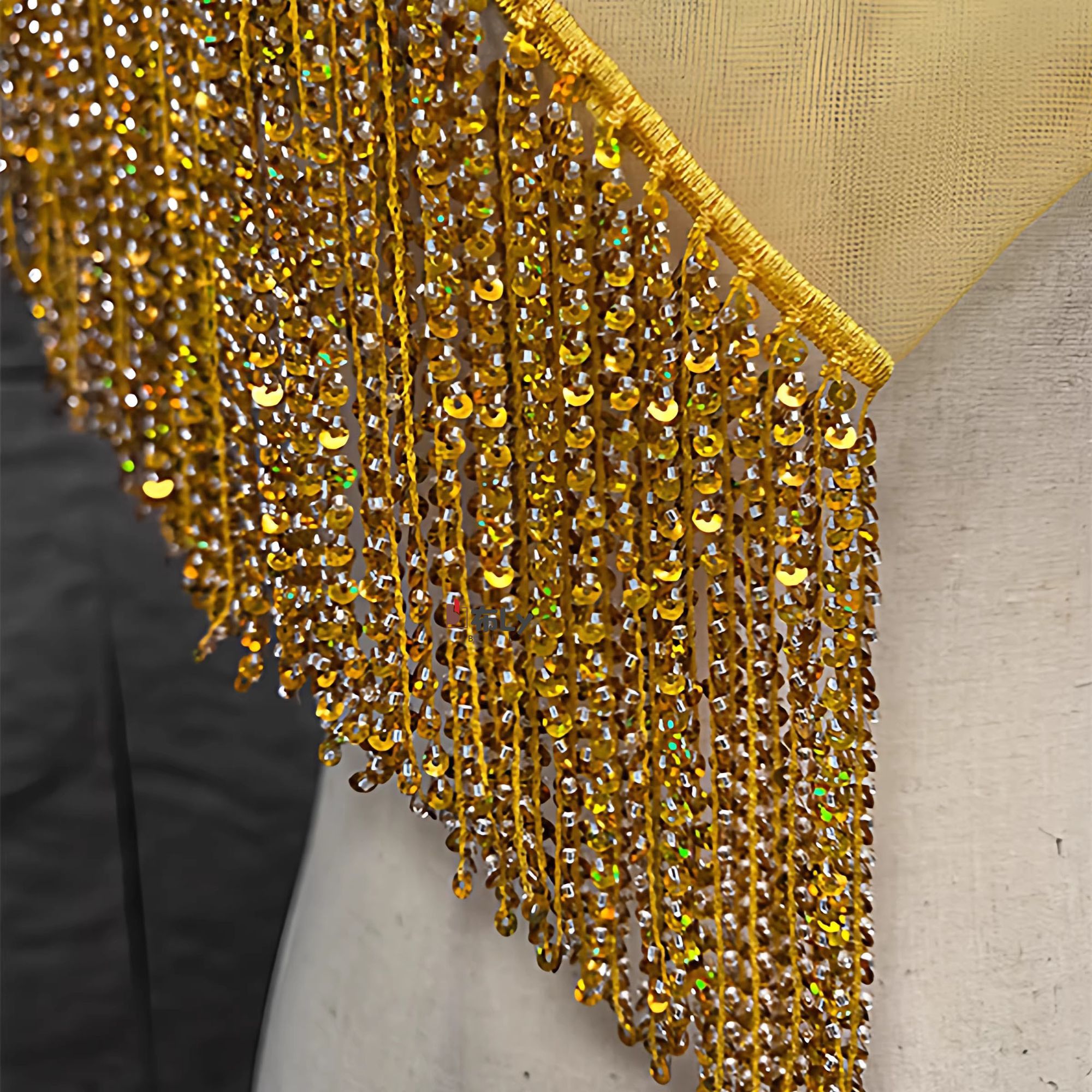 Frangia con Perline e Paillett - Tassel Fringe Trim recensione e prezzo