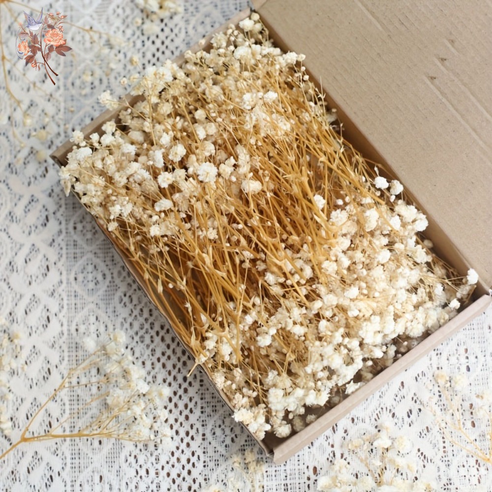 100 Pezzi Mini Fiori Secchi di - Embellish Craft recensione e prezzo
